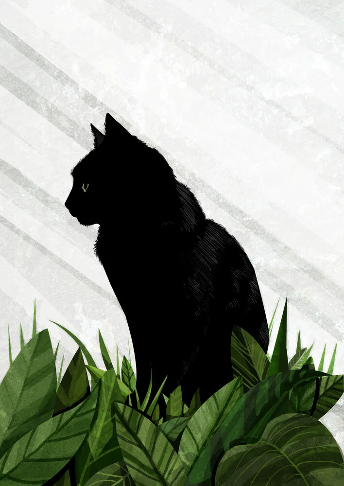 zwarte kat - Fineart fotografie door Katherine Blower