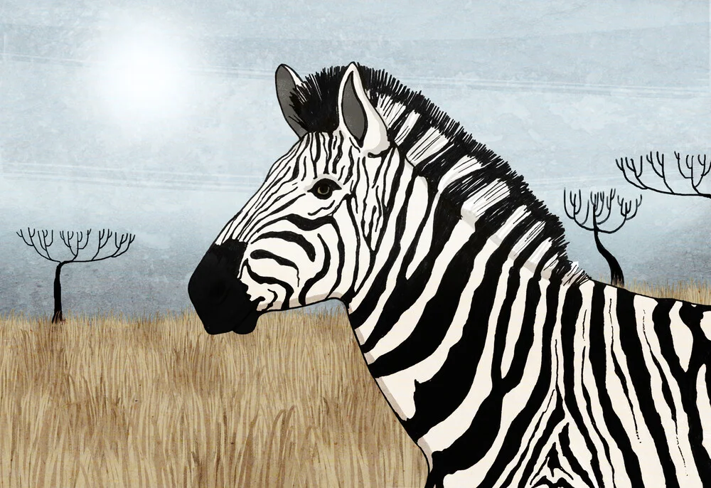 Zebra - Fineart fotografie door Katherine Blower