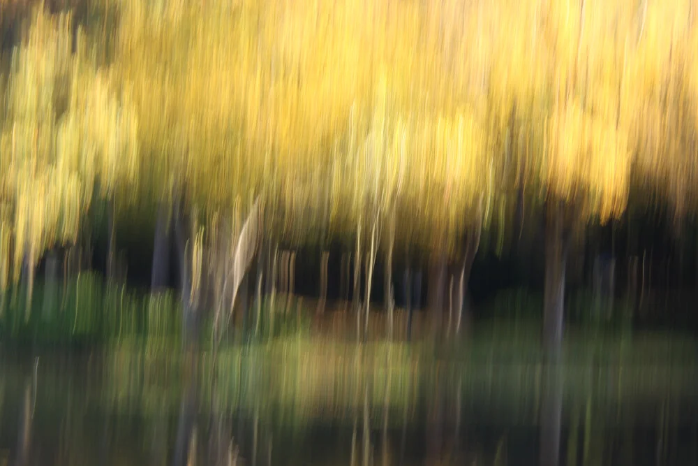 herfst abstract #o3 - Fineart fotografie door Steffi Louis