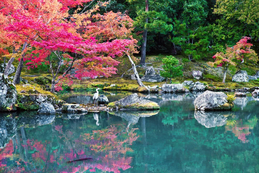 De schoonheid van Japan - Fineart fotografie door Victoria Knobloch