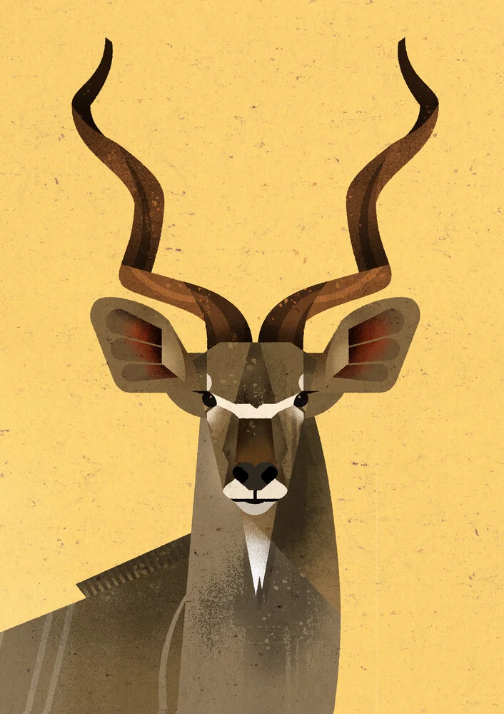 Grotere Kudu - Fineart fotografie door Dieter Braun