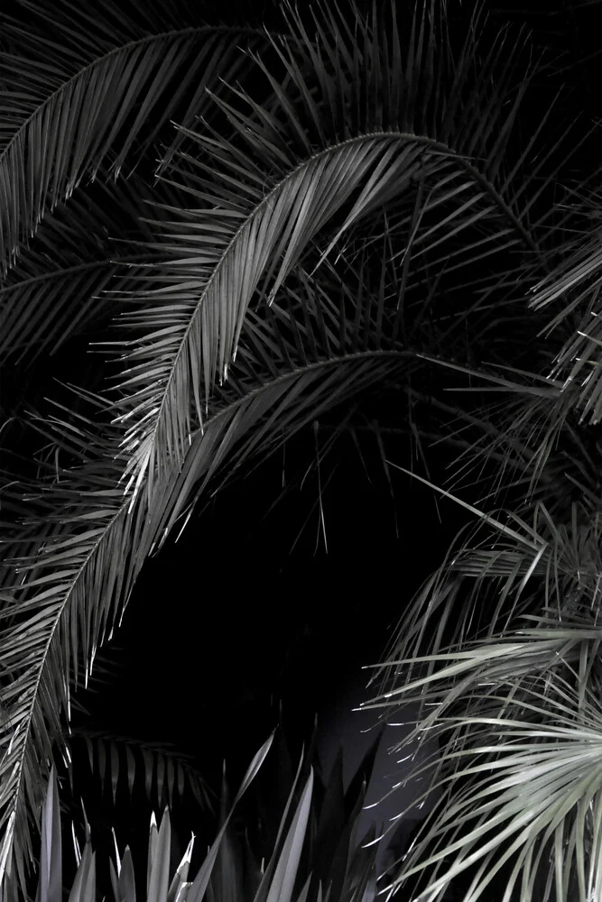 Tropische Tuin 1/5 - Fineart fotografie door Studio Na.hili