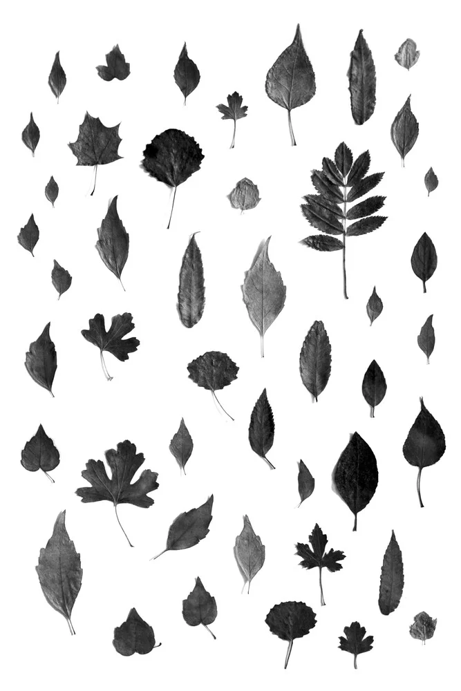 Teken van de herfst - Zwart - Fineart fotografie door Studio Na.hili