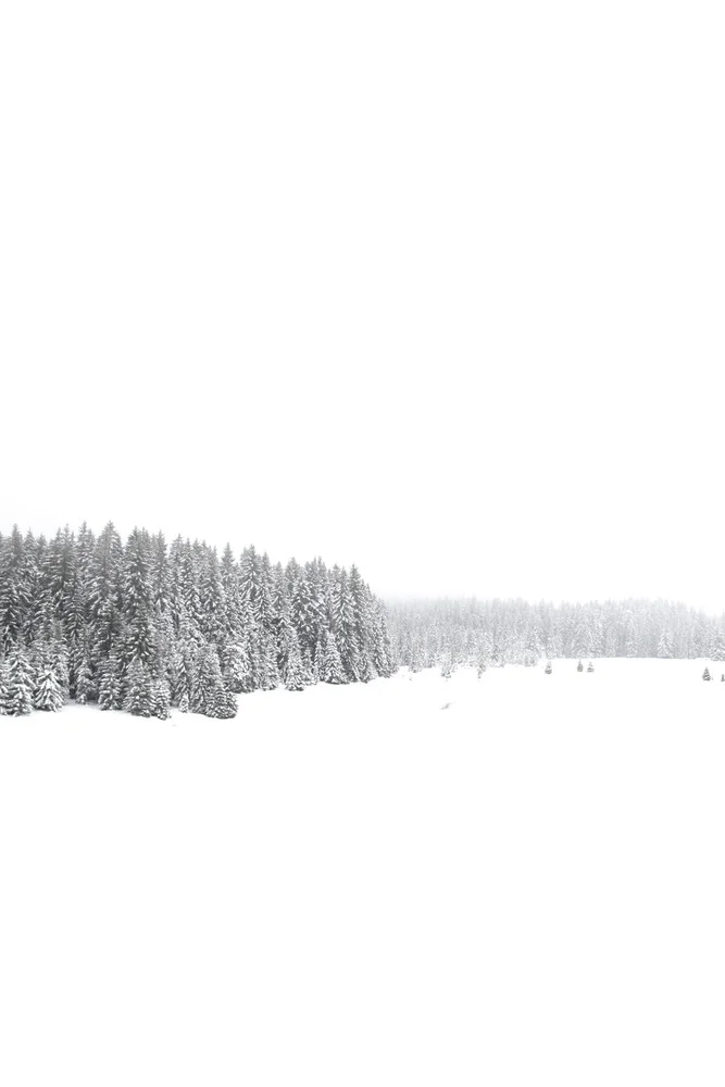 Wit Wit Winter 1/2 - Fineart fotografie door Studio Na.hili