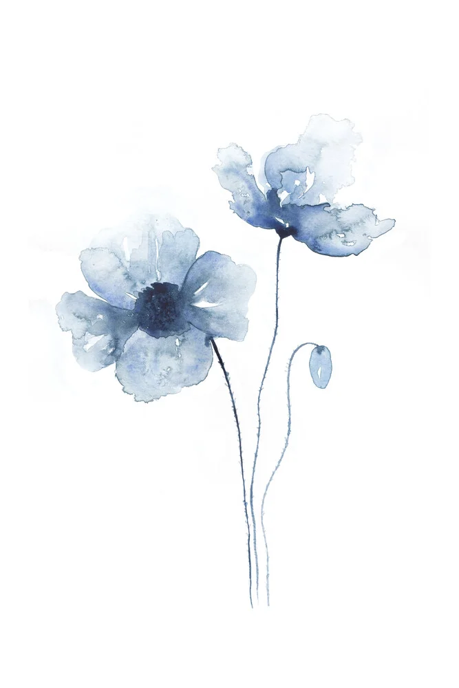 Blue Poppies No. 2 - Fineart fotografie door Cristina Chivu
