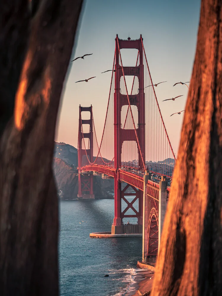 ingelijste brug - Fineart fotografie door Dimitri Luft