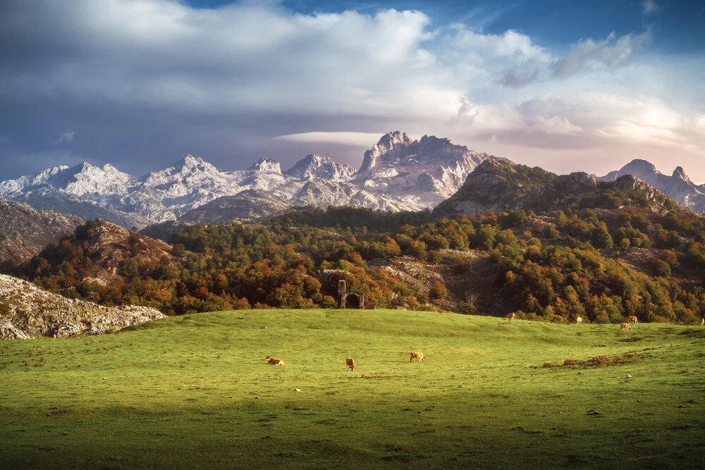 Asturien Picos de Europa Gebirgsmassiv mit Weidegrund - fotokunst van Jean Claude Castor