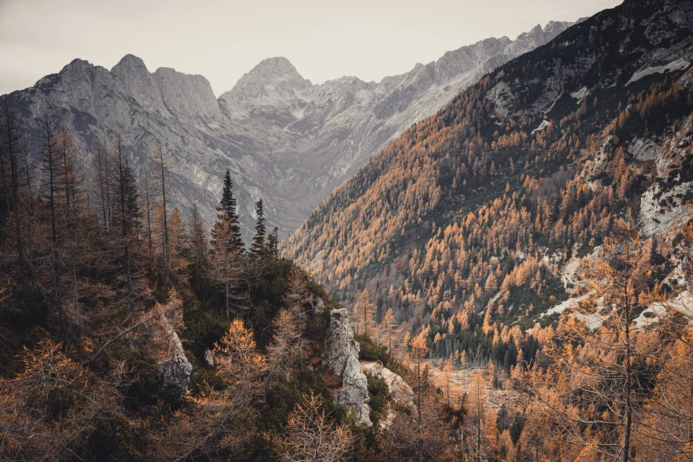 Laten we weggaan ... Herfst bij de Vršič-pas in Slovenië - Fineart-fotografie door Eva Stadler