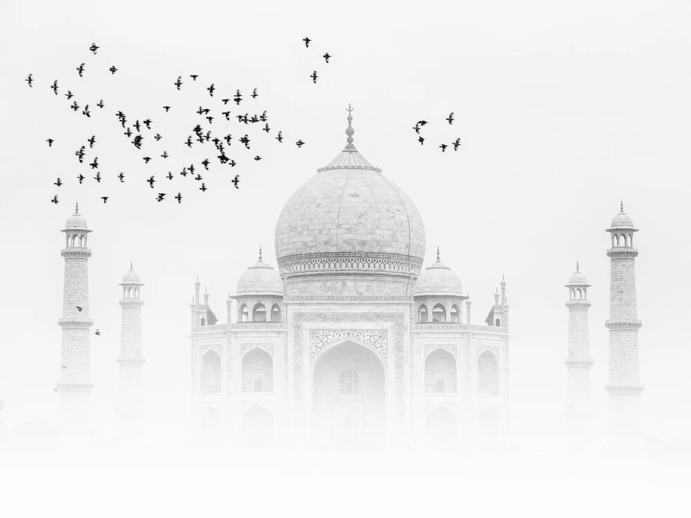 Vogels boven Taj Mahal - Fineart fotografie door Thomas Herzog