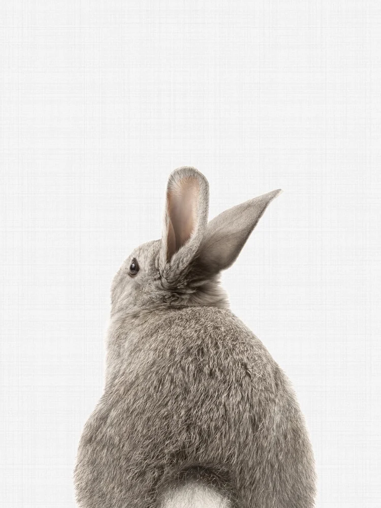 Rabbit Tail - fotokunst van Vivid Atelier