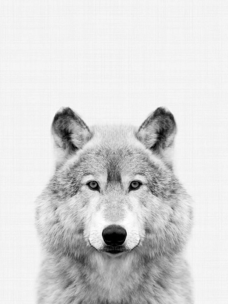 Wolf (zwart-wit) - Fineart-fotografie door Vivid Atelier