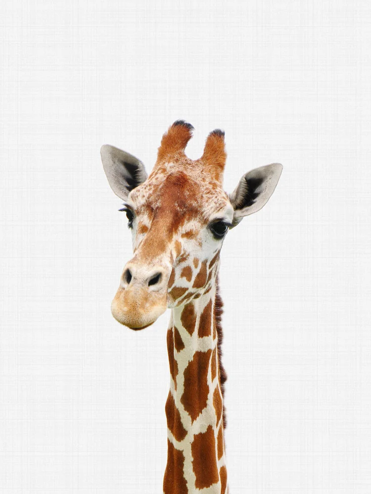 Giraffe - fotokunst van Vivid Atelier