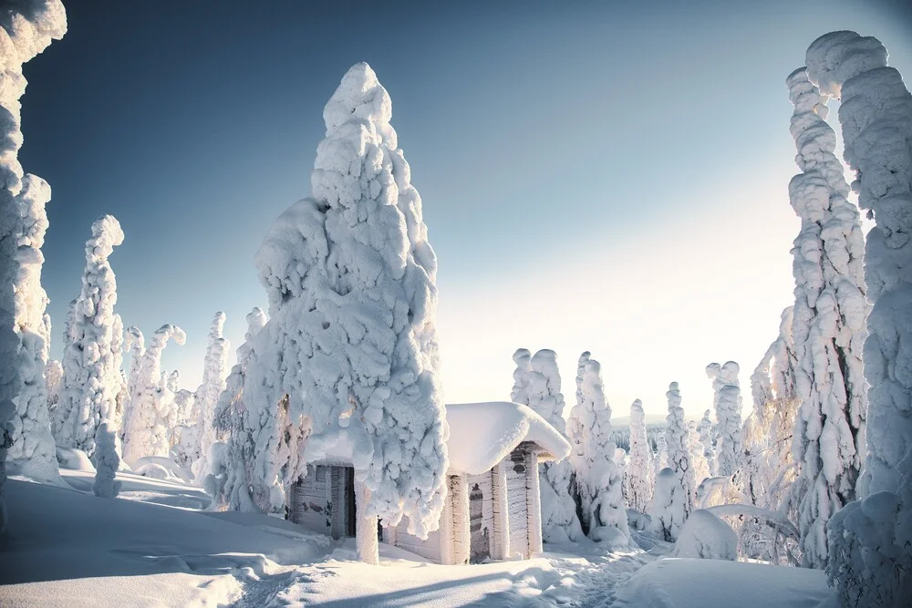 Winterwonderland - Fineart fotografie door André Alexander