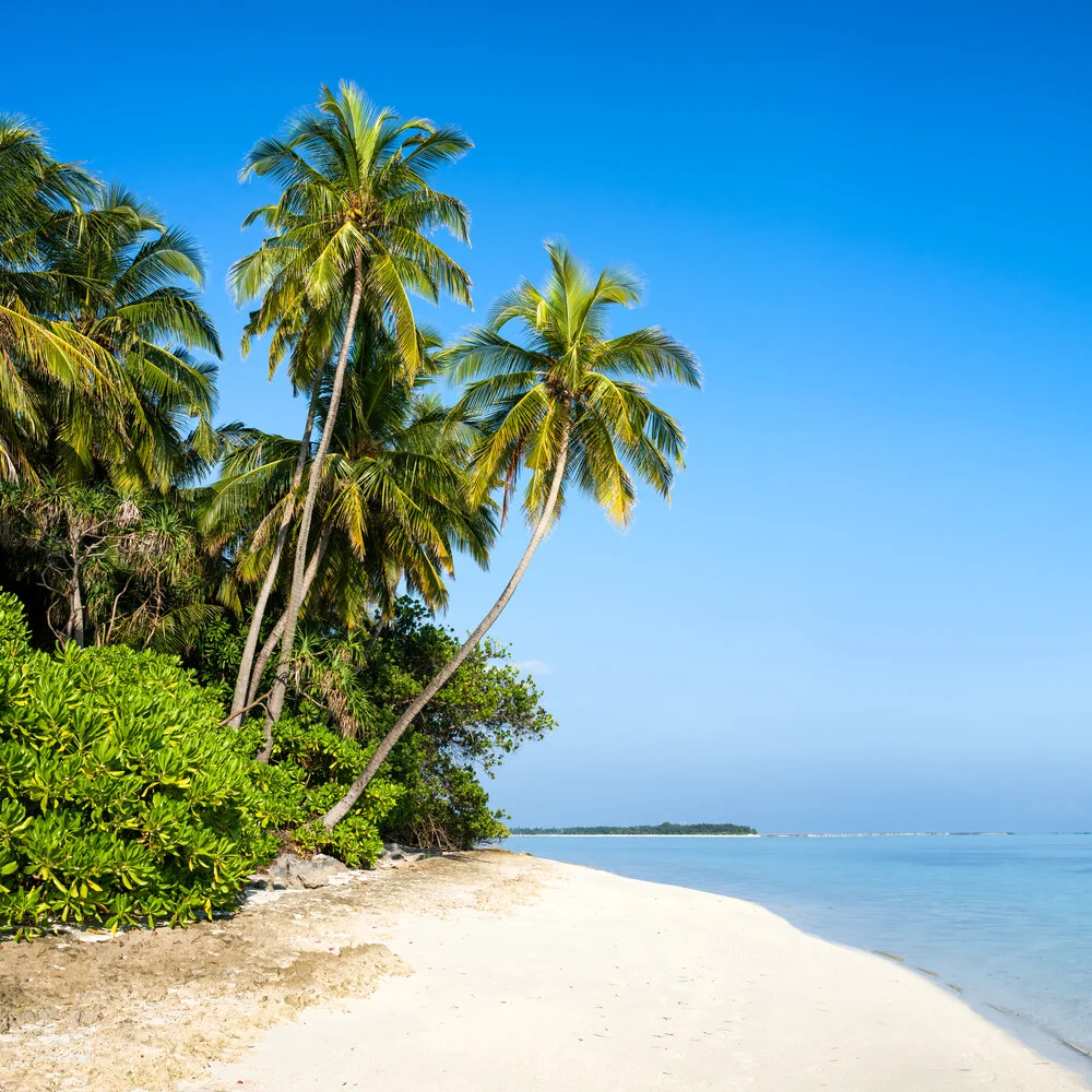 Tropisch Insel auf den Malediven - fotokunst von Jan Becke