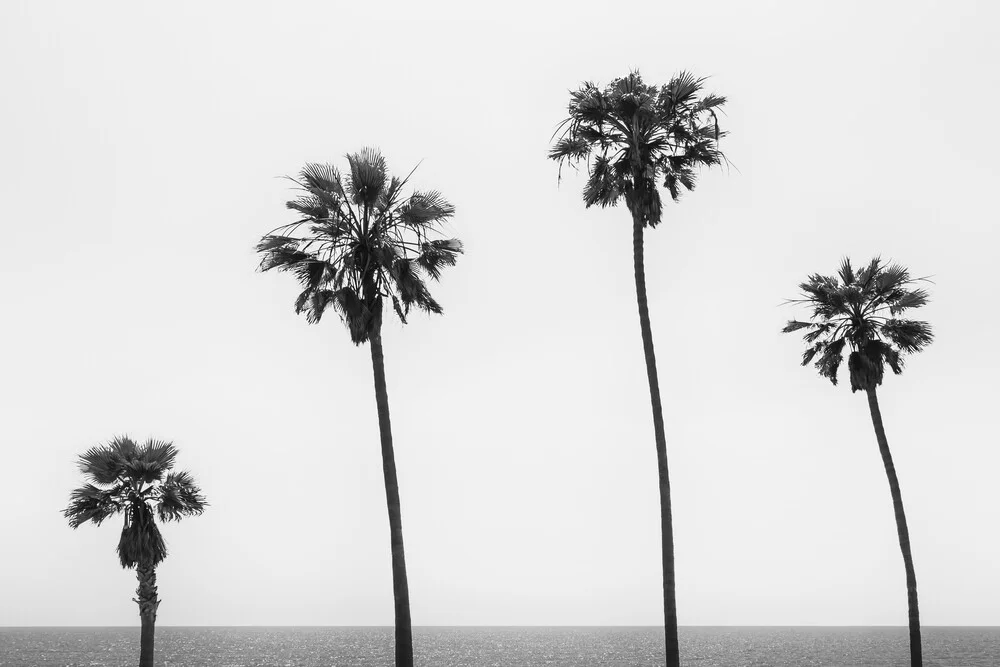 Monochrome palmbomen aan zee - Fineart fotografie door Melanie Viola