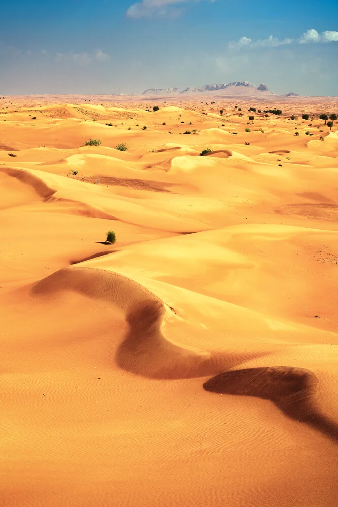 Wüste in Dubai - fotokunst van Jean Claude Castor
