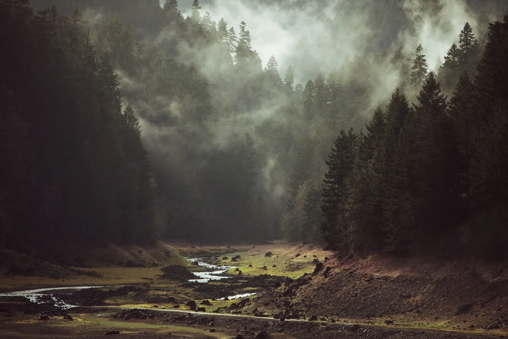 Foggy Forest Creek - Fineart fotografie door Kevin Russ