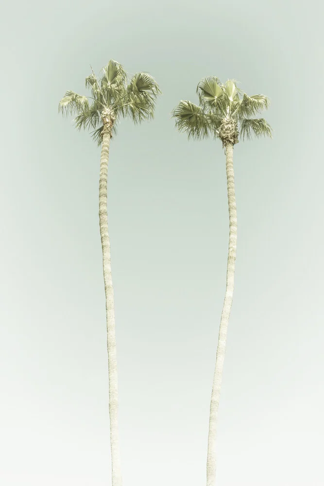 Vintage Palmenidylle - fotokunst van Melanie Viola