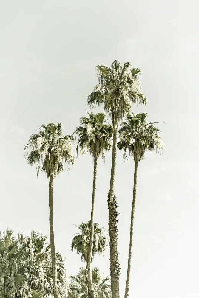 Palmbomen op het strand | Vintage - Fineart fotografie door Melanie Viola