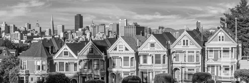 Painted Ladies & San Francisco Skyline Monochrome - Fineart fotografie door Melanie Viola