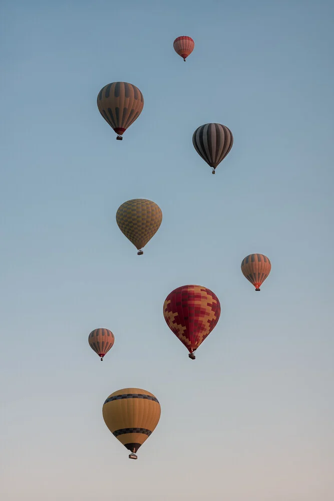 Hot Air Balloon Flock - fotokunst van AJ Schokora