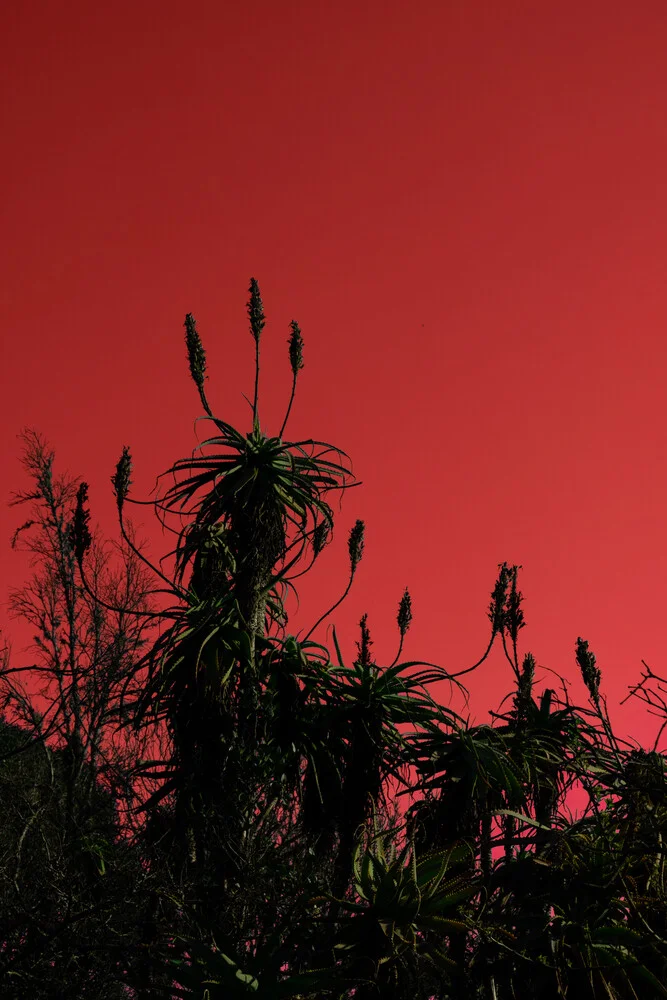 rode lucht - Fineart fotografie door Daniel Simair