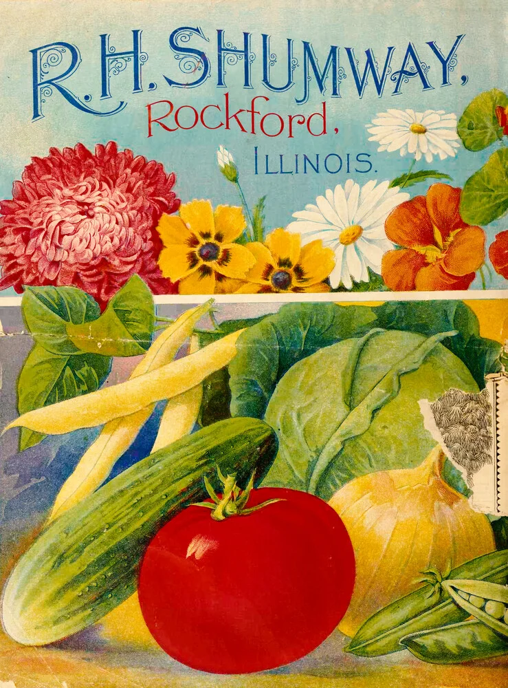 RH Shumway, Rockford, Illimois - Fineart fotografie door Vintage Nature Graphics