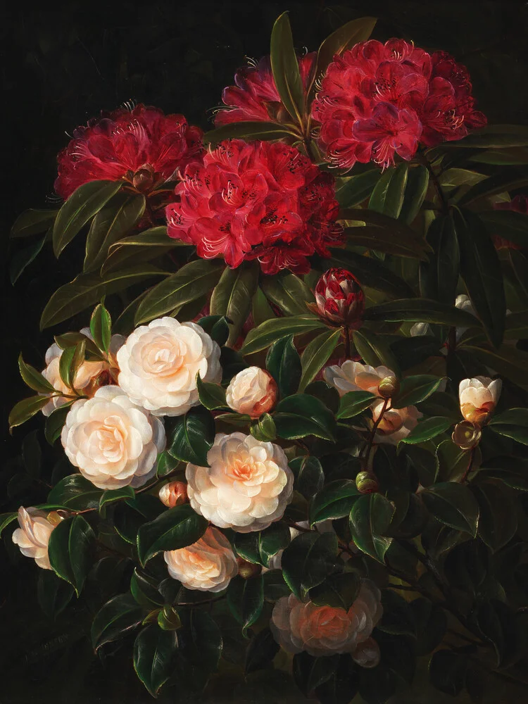 JL Jensen: Kamelier og rhododendron - Fineart fotografie door Art Classics