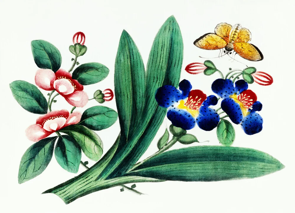 Chinees schilderij met bloemen en een vlinder - Fineart fotografie door Vintage Nature Graphics