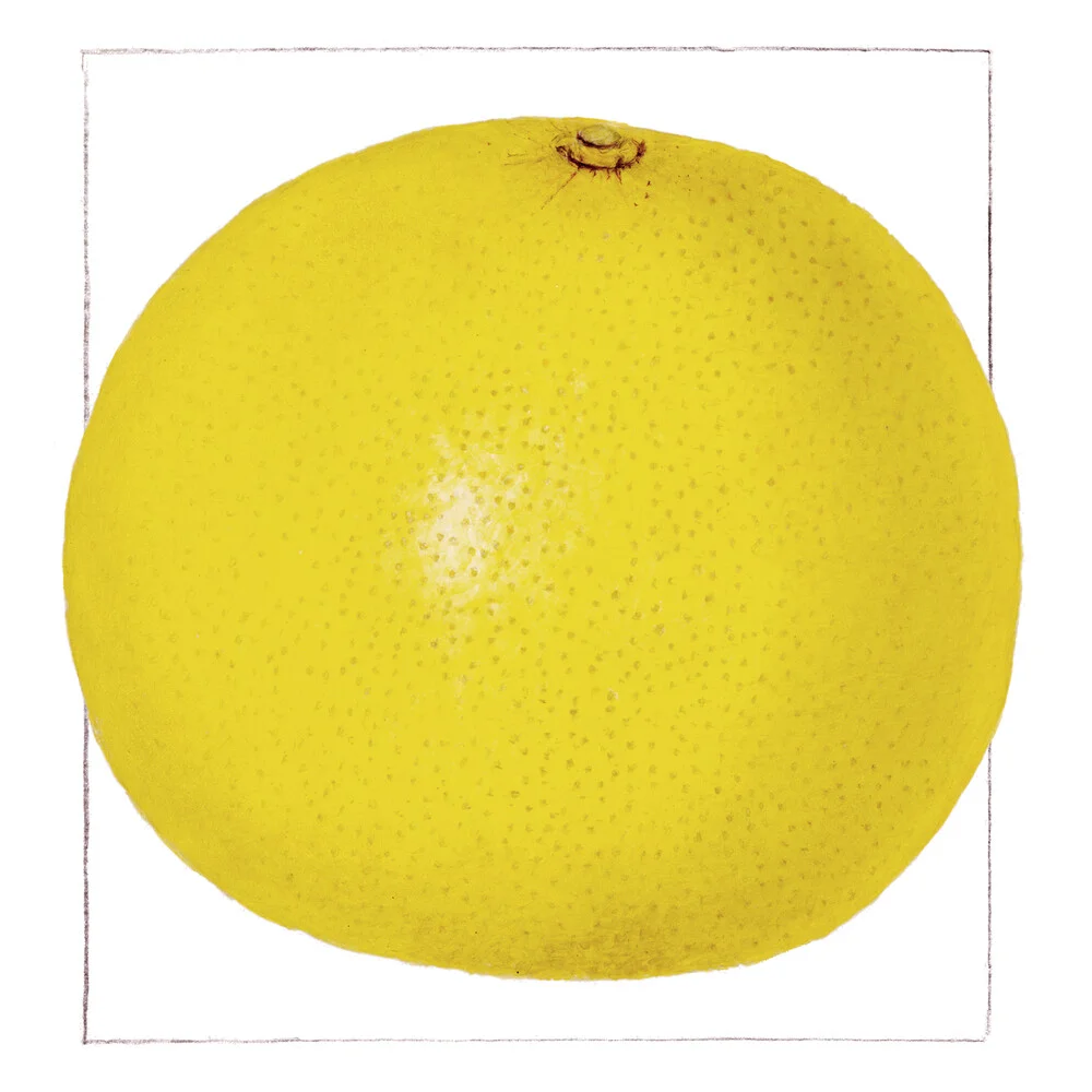 Vintage Lemon - Fineart fotografie door Vintage Nature Graphics