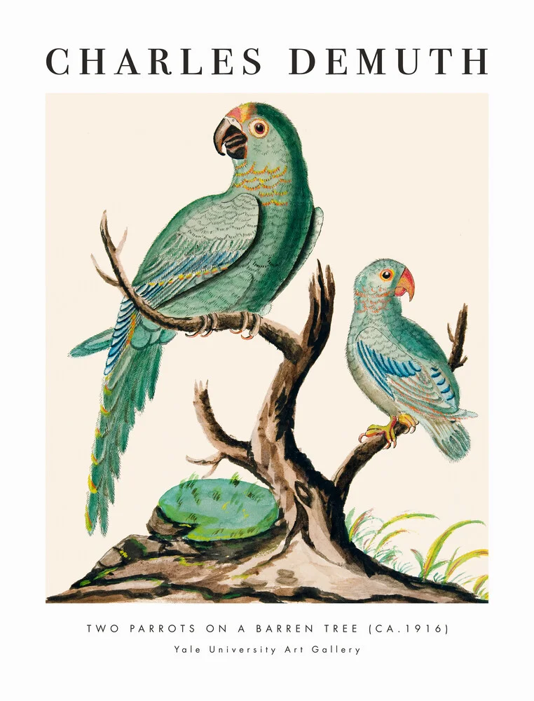 Charles Demuth: Twee papegaaien op een kale boom - Fineart fotografie door Art Classics
