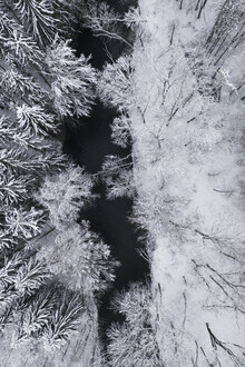 Studio Na.hili, zwarte rivier door het besneeuwde winterbos