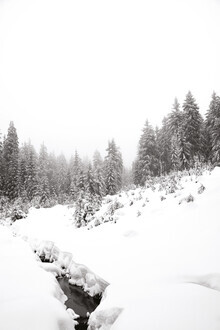 Studio Na.hili, zwarte rivier, witte winter FOREST