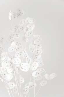 Studio Na.hili, witte CONFETTI bloemen
