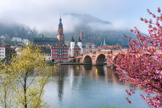 Jan Becke, oude binnenstad van Heidelberg in het voorjaar
