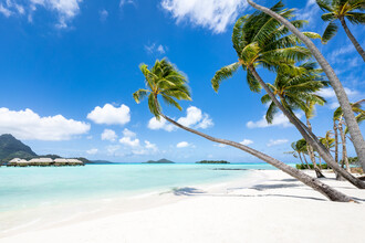 Jan Becke, Strand met palmbomen op Bora Bora - Frans-Polynesië, Oceanië)