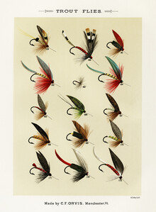 Vintage Nature Graphics, Mary Orvis Marbury: Trout Flies (Verenigde Staten, Noord-Amerika)