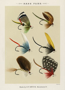 Vintage Nature Graphics, Mary Orvis Marbury: Bass Flies (Verenigde Staten, Noord-Amerika)
