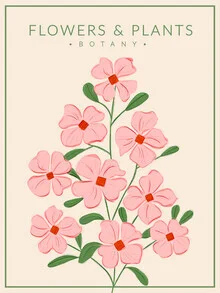 Zachtroze bloemen - Botany no4 - fotokunst von Ania Więcław
