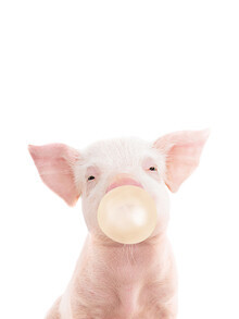 Kathrin Pienaar, Bubble Gum Pig (Verenigd Koninkrijk, Europa)