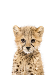 Kathrin Pienaar, Baby Cheetah (Verenigd Koninkrijk, Europa)