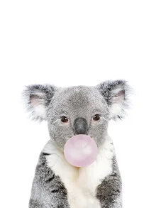 Bubble Gum Koala - Fineart-fotografie door Kathrin Pienaar