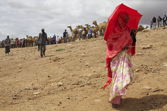 Christina Feldt, Rode dame op de kamelenmarkt in Babille, Oost-Ethiopië (Ethiopië, Afrika)