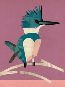 Kingfisher - Fineart fotografie door Dieter Braun