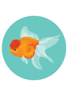 Katherine Blower, Fancy Goldfish (Verenigd Koninkrijk, Europa)