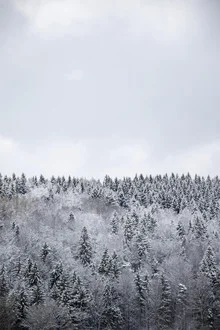 White Winter Forest - Fineart fotografie door Studio Na.hili