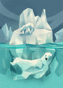 Dieter Braun, Polar Bears (Duitsland, Europa)