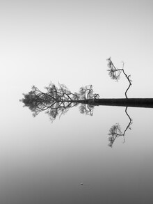 Holger Nimtz, Reflecties op water