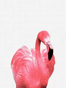 Flamingo - Fineart fotografie door Vivid Atelier