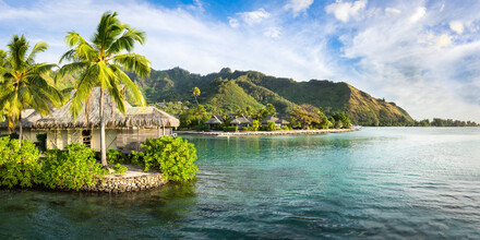 Jan Becke, Tropisch paradijselijk eiland op Moorea (Frans-Polynesië, Oceanië)